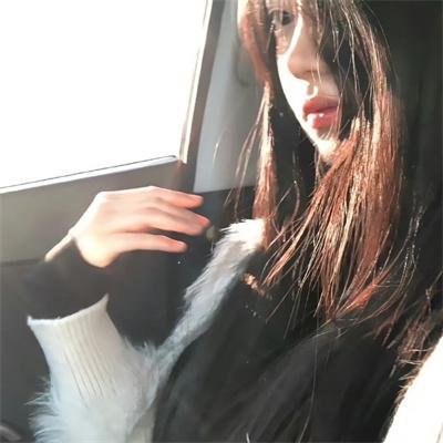 狗狗圣诞节